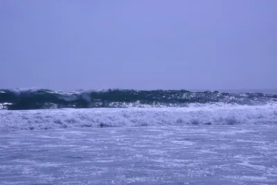 DSC_2130 (Large).JPG